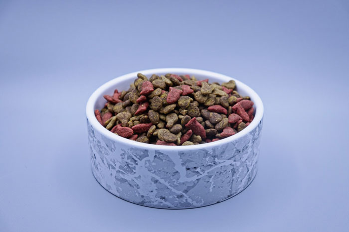 pet's bowl with food