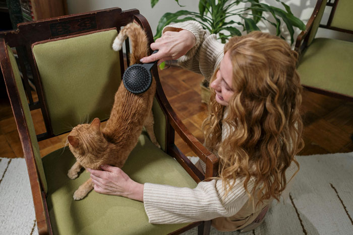 woman brushing the cat