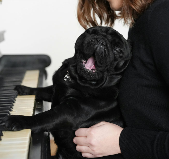 woman holding the dog near the piano