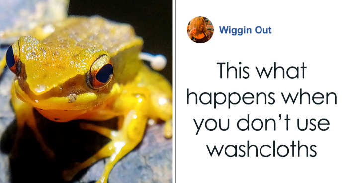 Scientists Baffled By Unprecedented Sight Of Living Frog With Mushroom Sprouting Out Of Its Side