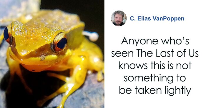 Scientists Baffled By Unprecedented Sight Of Living Frog With Mushroom Sprouting Out Of Its Side