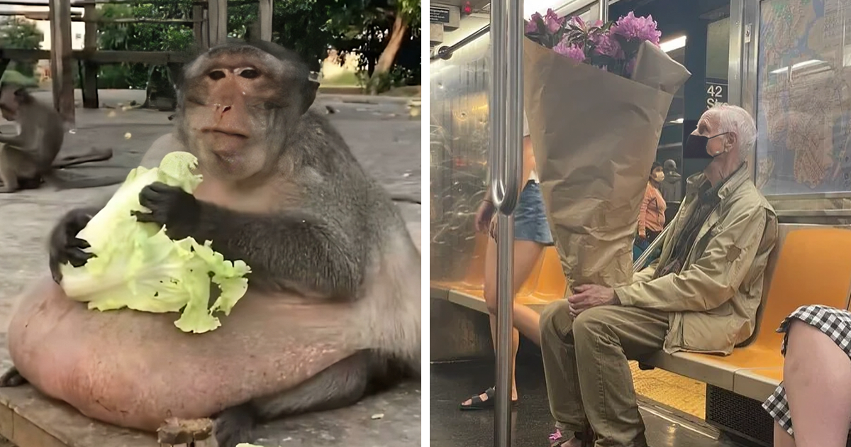 80 Times People Spotted "Absolute Units" Of Things And Just Had To Share Them Online (New Pics) - Vimarsana News