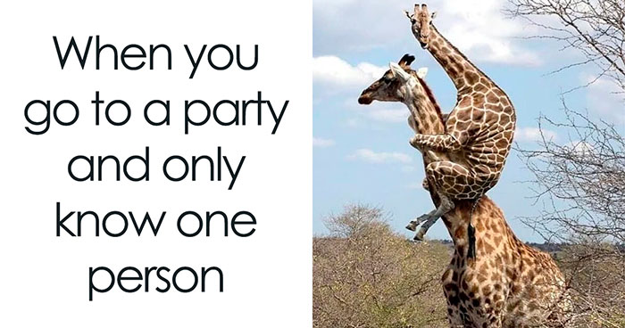 50 Introvert Memes For Anyone Who Loves Staying Home And Recharging Their Social Battery