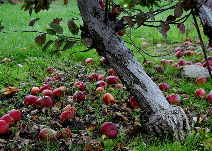 “The Odds Are A Billion To One”: 30 Statistically Unlikely Things That Happened To People