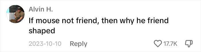 Touching Moment Mama Cat Adopts A Mouse As A Part Of Her Newest Litter Touching Moment Mama Cat Adopts A Mouse As A Part Of Her Newest Litter