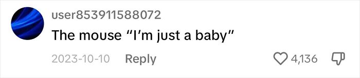 Touching Moment Mama Cat Adopts A Mouse As A Part Of Her Newest Litter Touching Moment Mama Cat Adopts A Mouse As A Part Of Her Newest Litter