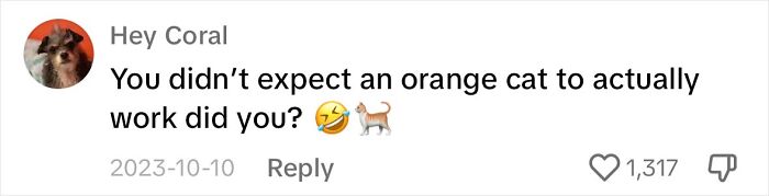 Touching Moment Mama Cat Adopts A Mouse As A Part Of Her Newest Litter Touching Moment Mama Cat Adopts A Mouse As A Part Of Her Newest Litter