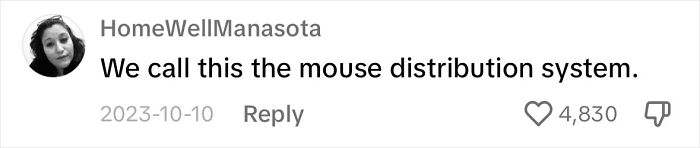 Touching Moment Mama Cat Adopts A Mouse As A Part Of Her Newest Litter Touching Moment Mama Cat Adopts A Mouse As A Part Of Her Newest Litter