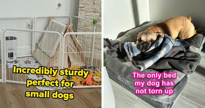 Amazon’s Having A Big Spring Sale: Here’s What Pet Owners Should Actually Buy