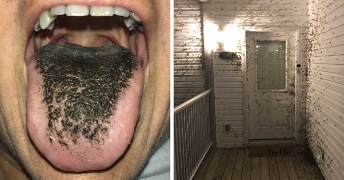 50 Times People Came Across Something ‘Mildly Disgusting’ And Had To Share In This Group