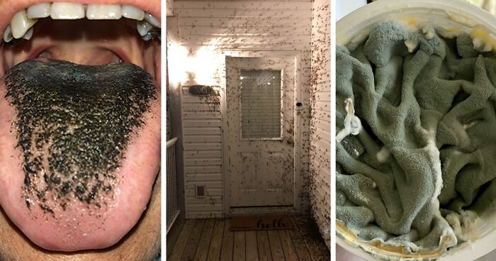 55 Of The Most ‘Mildly Disgusting’ Things Seen Out In The Wild