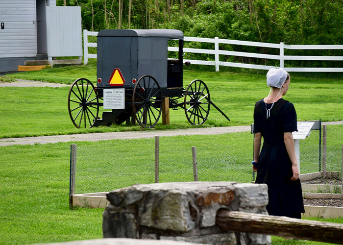 Tragic Amish Buggy Crash: Twins Swap Identities, Face Complex Charges
