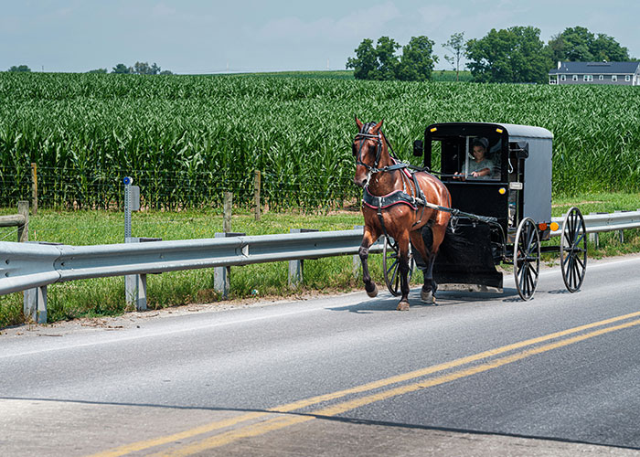 Tragic Amish Buggy Crash: Twins Swap Identities, Face Complex Charges