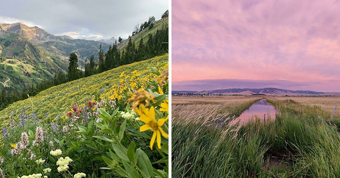‘Rate This Meadow’: 30 Beautiful Images To Transport You To A Tranquil Haven