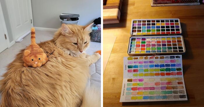 30 Incredibly Dangerous Things That Most People See As Safe