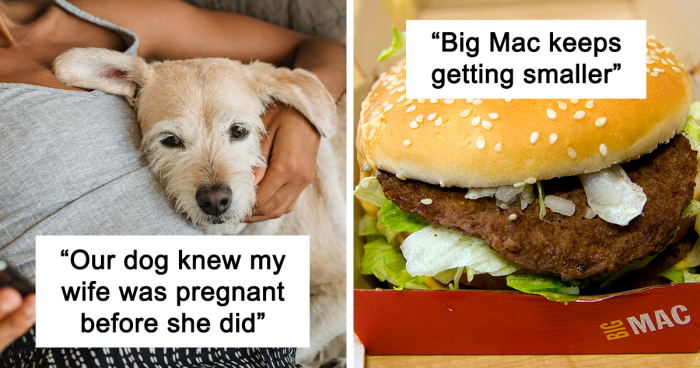 “My Dad Might Be Alive”: 50 Things People Are 100% Certain Are True Despite Having No Evidence