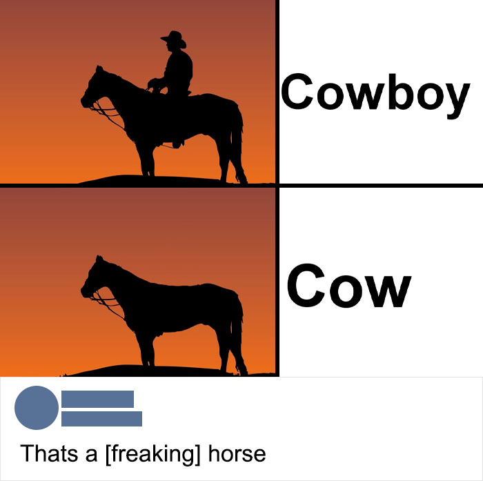 "That's A F**king Horse"