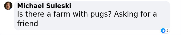 “People Cry Because They Are So Happy”: Visitors Flock To Experience The “Golden Retriever Hour” “People Cry Because They Are So Happy”: Visitors Flock To Experience The “Golden Retriever Hour”