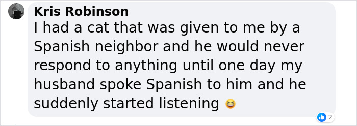 A Woman Discovers Hilarious Reason Why Her Newly Adopted Dog Kept Ignoring Her A Woman Discovers Hilarious Reason Why Her Newly Adopted Dog Kept Ignoring Her