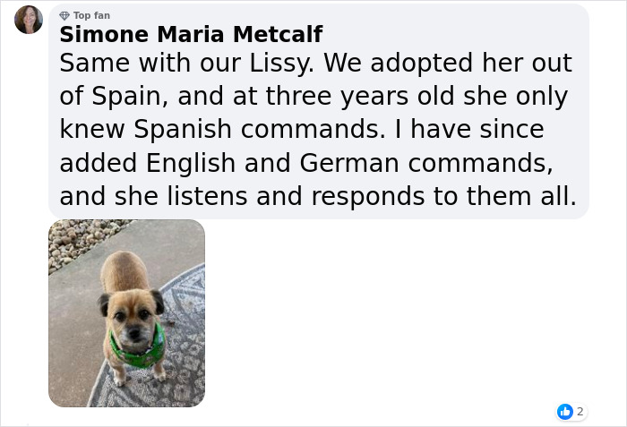 A Woman Discovers Hilarious Reason Why Her Newly Adopted Dog Kept Ignoring Her A Woman Discovers Hilarious Reason Why Her Newly Adopted Dog Kept Ignoring Her