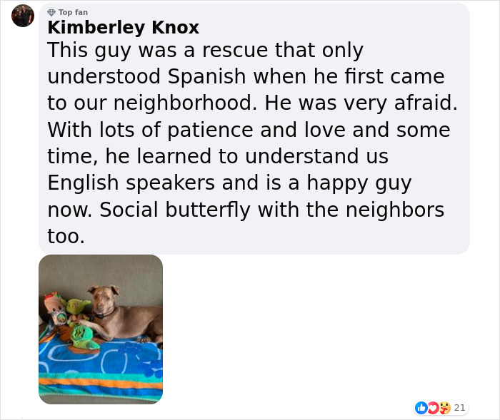 A Woman Discovers Hilarious Reason Why Her Newly Adopted Dog Kept Ignoring Her A Woman Discovers Hilarious Reason Why Her Newly Adopted Dog Kept Ignoring Her