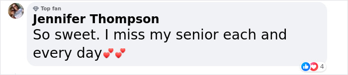 Adorable Video Showing Senior Dog Turning Into A Puppy Thanks To His New Owner Adorable Video Showing Senior Dog Turning Into A Puppy Thanks To His New Owner