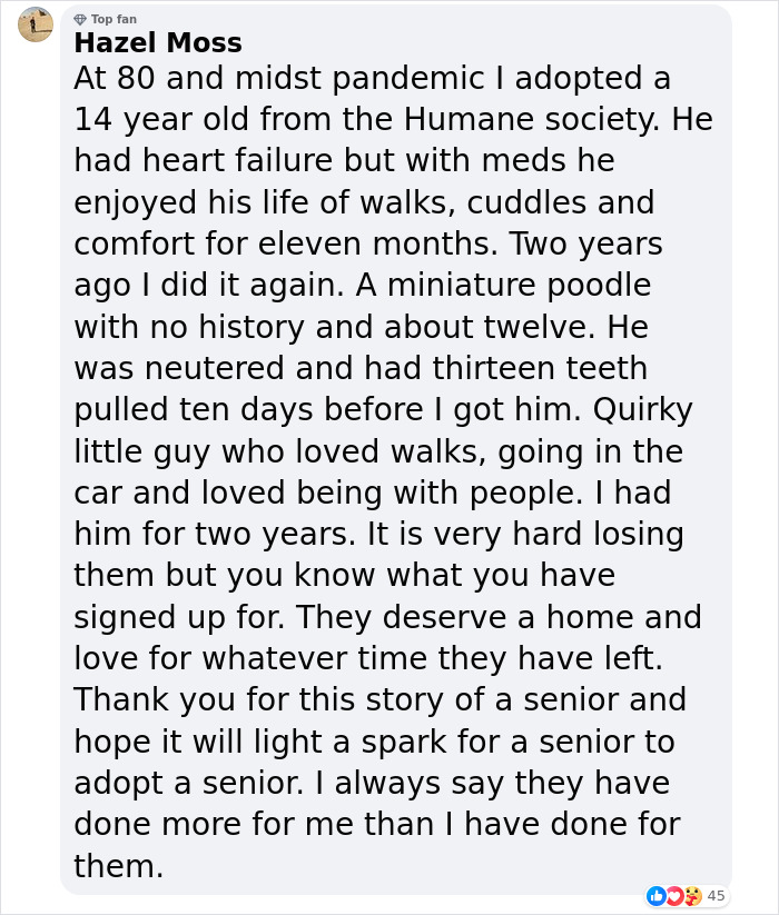 Adorable Video Showing Senior Dog Turning Into A Puppy Thanks To His New Owner Adorable Video Showing Senior Dog Turning Into A Puppy Thanks To His New Owner