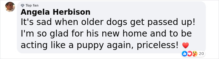 Adorable Video Showing Senior Dog Turning Into A Puppy Thanks To His New Owner Adorable Video Showing Senior Dog Turning Into A Puppy Thanks To His New Owner