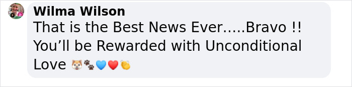 Adorable Video Showing Senior Dog Turning Into A Puppy Thanks To His New Owner Adorable Video Showing Senior Dog Turning Into A Puppy Thanks To His New Owner