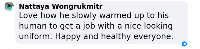 Hired With No Experience: Street Dog Persistently Visited Police Station Until He Got Adopted Hired With No Experience: Street Dog Persistently Visited Police Station Until He Got Adopted