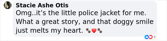 Hired With No Experience: Street Dog Persistently Visited Police Station Until He Got Adopted Hired With No Experience: Street Dog Persistently Visited Police Station Until He Got Adopted