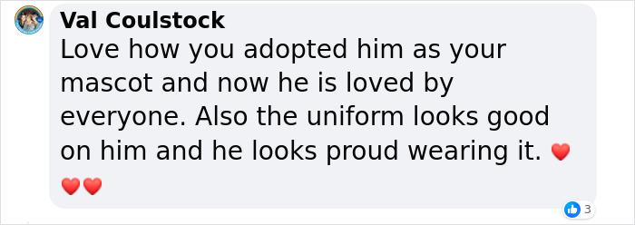 Hired With No Experience: Street Dog Persistently Visited Police Station Until He Got Adopted Hired With No Experience: Street Dog Persistently Visited Police Station Until He Got Adopted