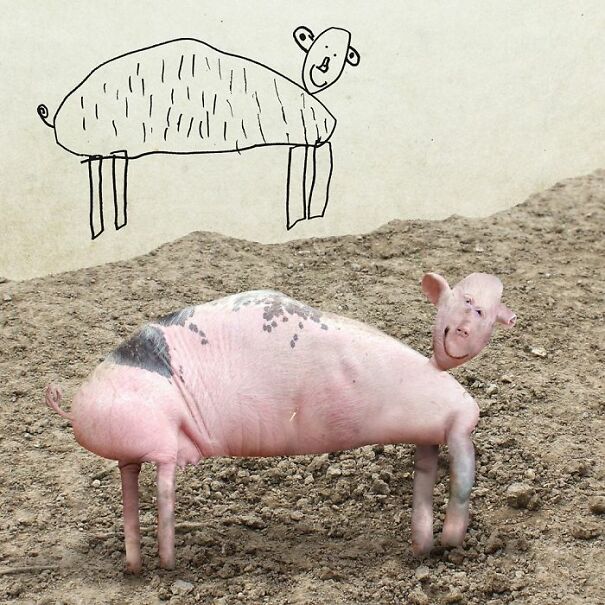 pig-drawing-in-real-life-6608531ec692b.jpg