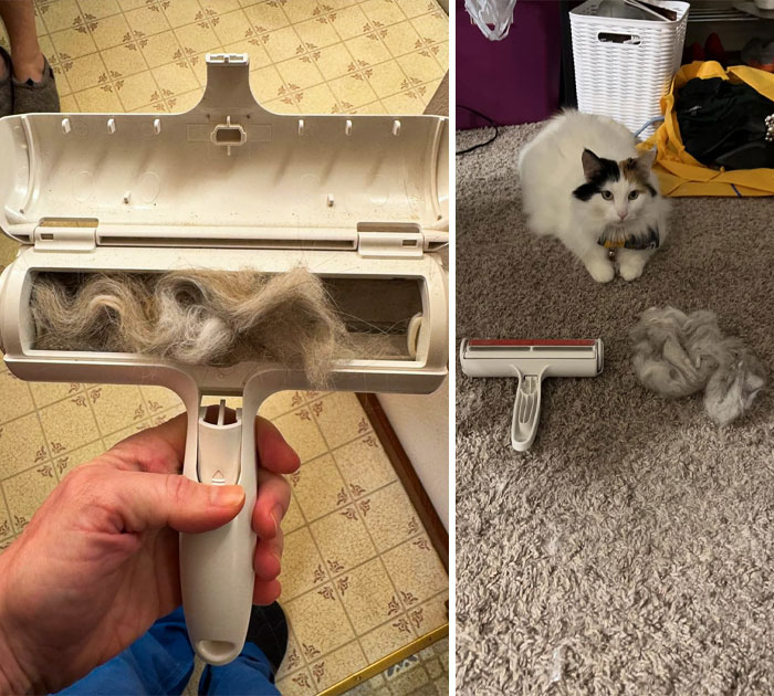 Ever Wish Pet Hair Was Only A Thing In Nightmares? Get Chom Chom Roller. Be A Pet Owner, Not A Lint Hoarder!