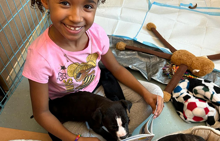 School Introduces Puppies To 1st Graders’ Reading Lesson, Soon Notices The Pupils Are Doing Better
