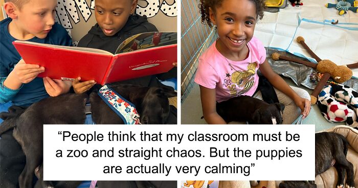School Introduces Puppies To 1st Graders’ Reading Lesson, Soon Notices The Pupils Are Doing Better