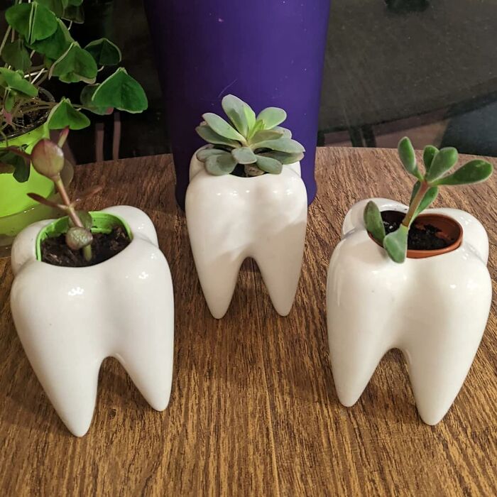 Bring A Quirky Touch To Your Garden With Teeth Flower Pots: Add A Playful Element To Your Plant Displays