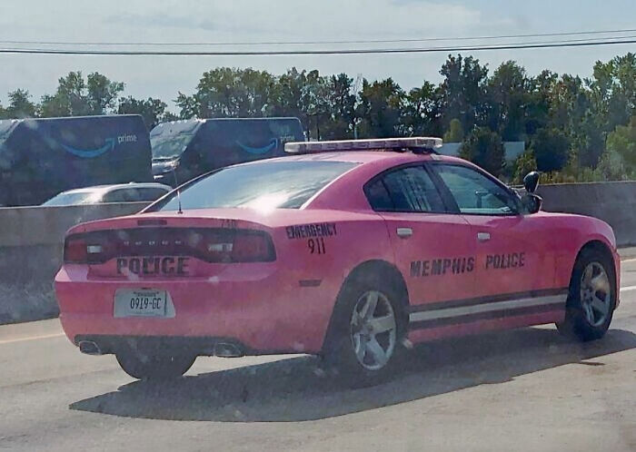 Pink Police Cruiser