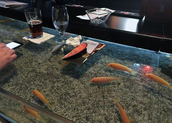 This Bar Has An Aquarium In It