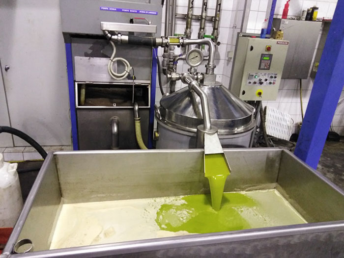 Así es el aceite de oliva justo tras ser extraido de las aceitunas