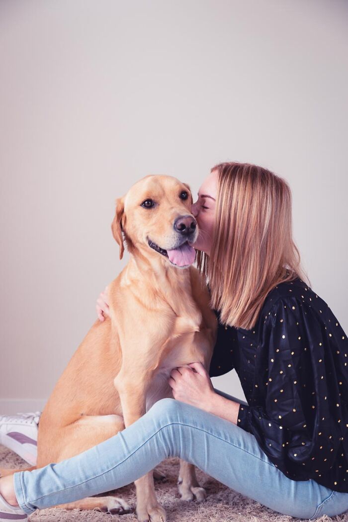 Labrador Dash Is The Apple Of His Mom's Eye