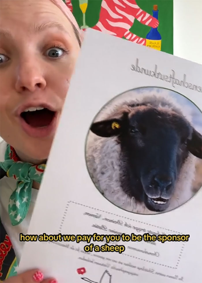 Folks Share Hilariously Absurd Things Companies Gave Them Instead Of Money In Response To A Video Folks Share Hilariously Absurd Things Companies Gave Them Instead Of Money In Response To A Video