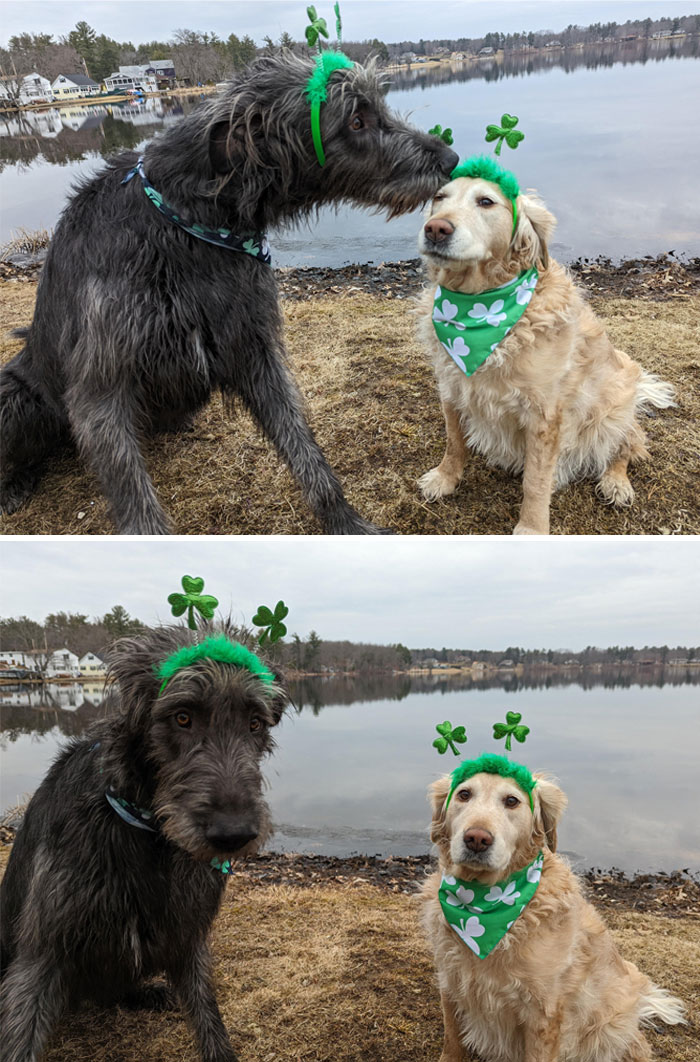 Tully And Georgia Celebrating St. Patrick's Day