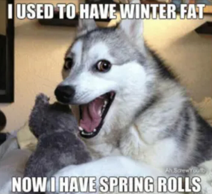 Springtime-Memes-Funny