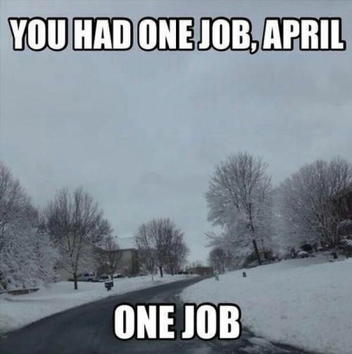 Springtime-Memes-Funny