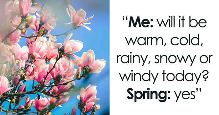 37 Funny Memes To Welcome Spring With All Its Joys And Flaws