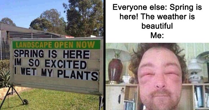 37 Funny Memes To Welcome Spring With All Its Joys And Flaws