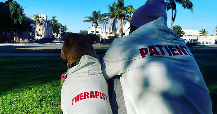 Pit Bull Overjoyed When She Finally Has Friends To Play With After Being Avoided By Other Dogs