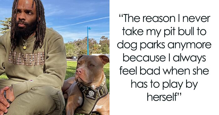 Pit Bull Overjoyed When She Finally Has Friends To Play With After Being Avoided By Other Dogs