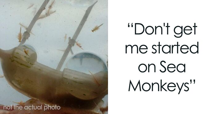 People Discuss Things They Believed As Kids But Later Realized To Be A Pile Of Lies (30 Answers)